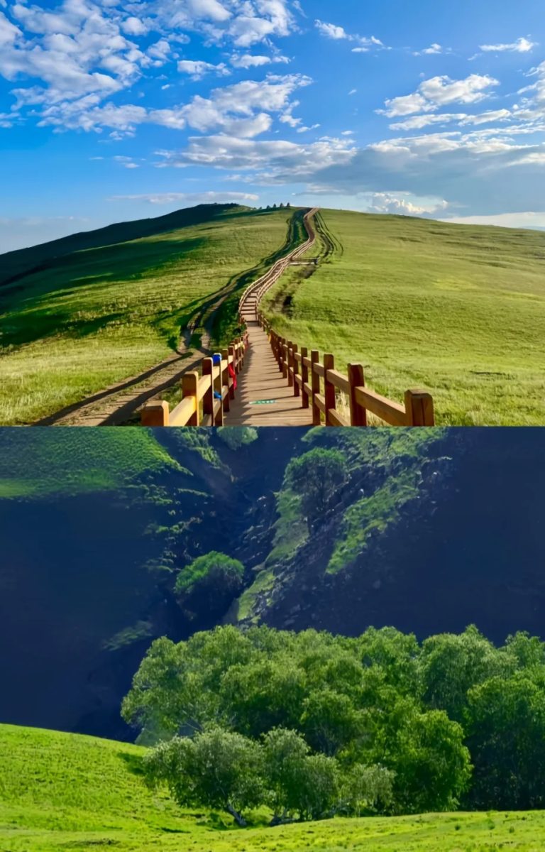 哈达门国家森林公园🌲_3_内蒙古中铁国际旅行社_哈达门-来自52tours 我爱旅游网